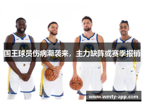 国王球员伤病潮袭来，主力缺阵或赛季报销