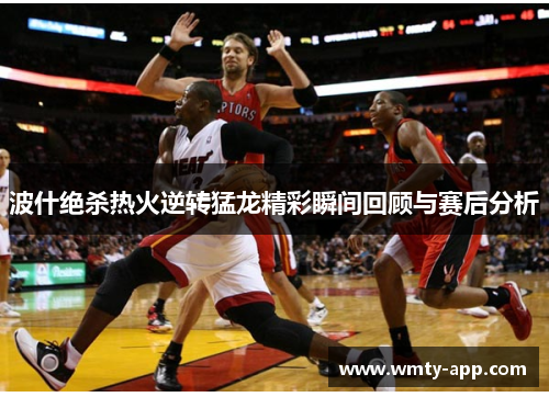 波什绝杀热火逆转猛龙精彩瞬间回顾与赛后分析